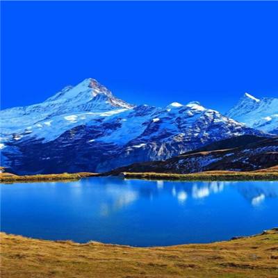 滔博体育娱乐下载app/手机app下载旗舰版